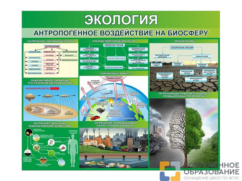 Стенд Экология. Антропогенное воздействие на биосферу