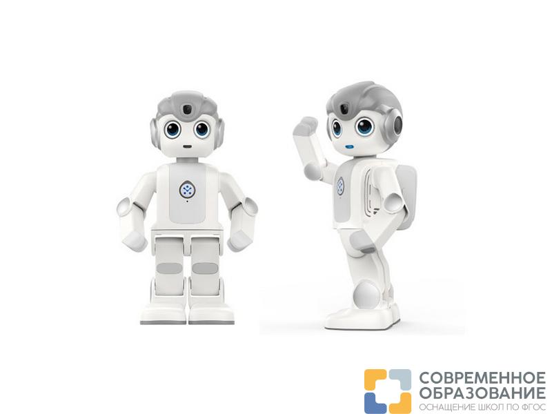 Гуманоидный робот Alpha MINI