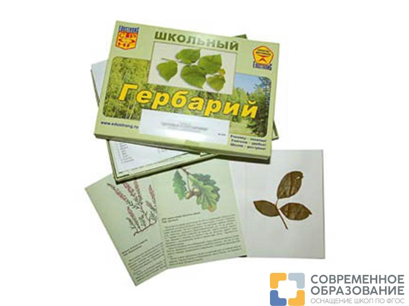 Гербарий "Дикорастущие растения" (30 видов, с иллюстрациями)