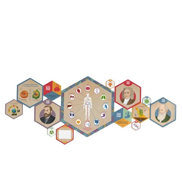 «Стендум - Биология» - набор информационно-методических панелей (14 шт.)