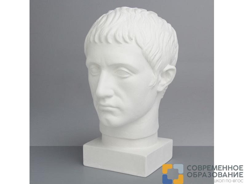 Гипсовая модель Голова Германика