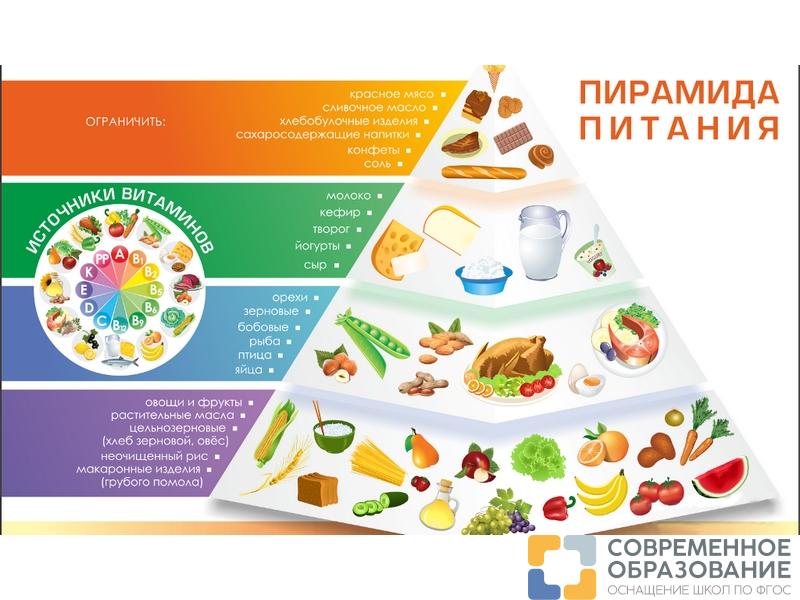 Стенд для школьной столовой Пирамида питания