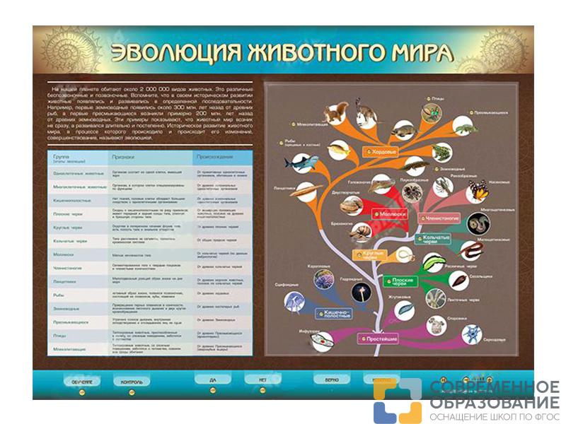 Интерактивный электрифицированный стенд "Эволюция животного мира"