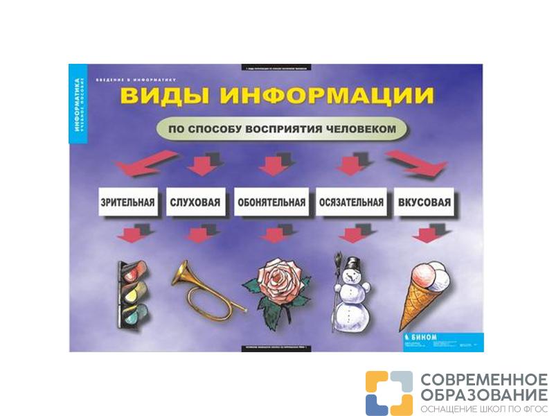 Таблицы "Введение в информатику"