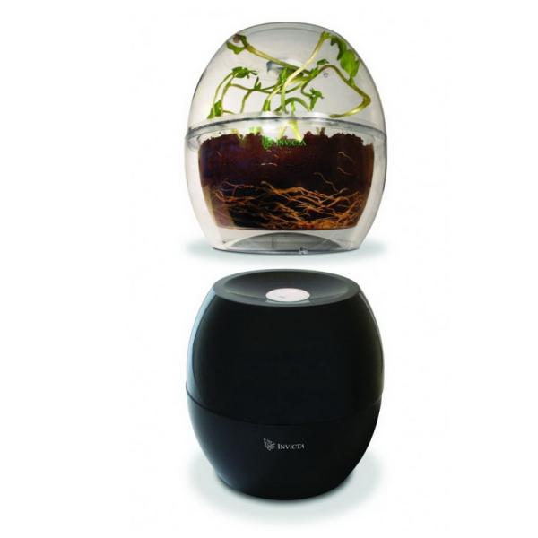 Набор для выращивания растений