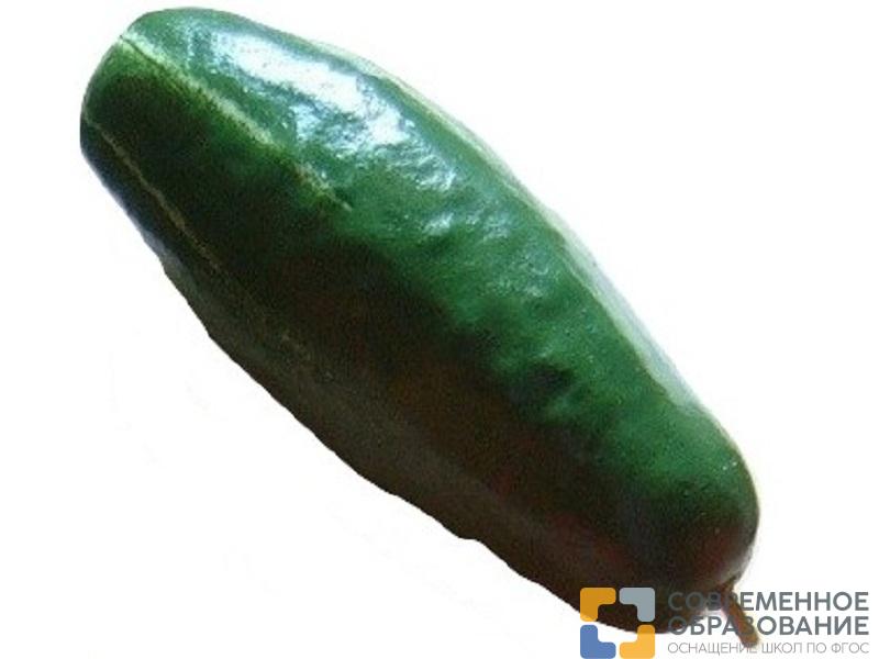 Муляж Огурец