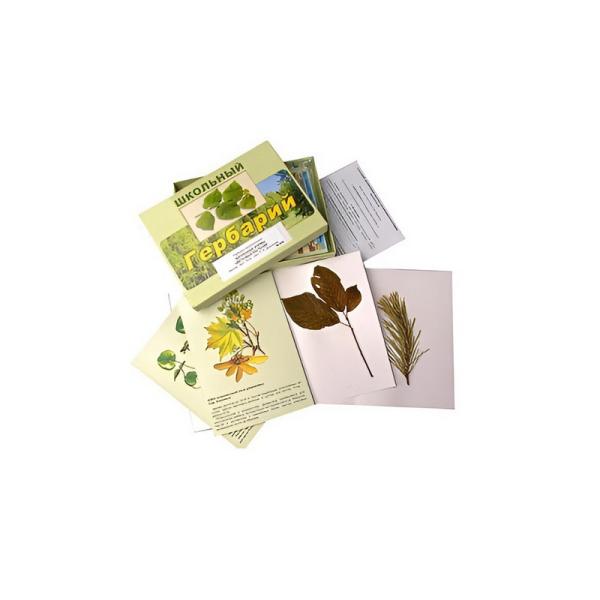 Гербарий "Жизненные формы цветковых растений"