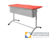 Школьный двухместный стол с перфорированным экраном ШСТ14