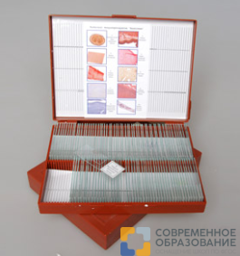 комплект микропрепаратов "анатомия" Комплект микропрепаратов "Анатомия"