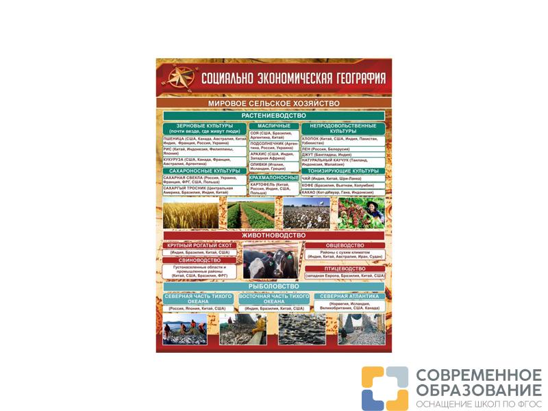 СТЕНД СОЦИАЛЬНО-ЭКОНОМИЧЕСКАЯ ГЕОГРАФИЯ. СЕЛЬСКОЕ ХОЗЯЙСТВО