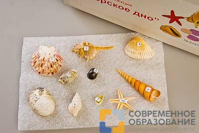 Коллекция образцов Морское дно