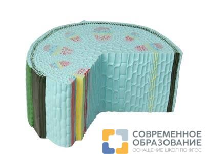 Модель стебля растения