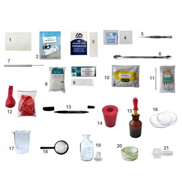 Кейс по биологии - Клетка и микроорганизмы