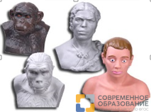 Комплект палеонтологических моделей "Происхождение человека"