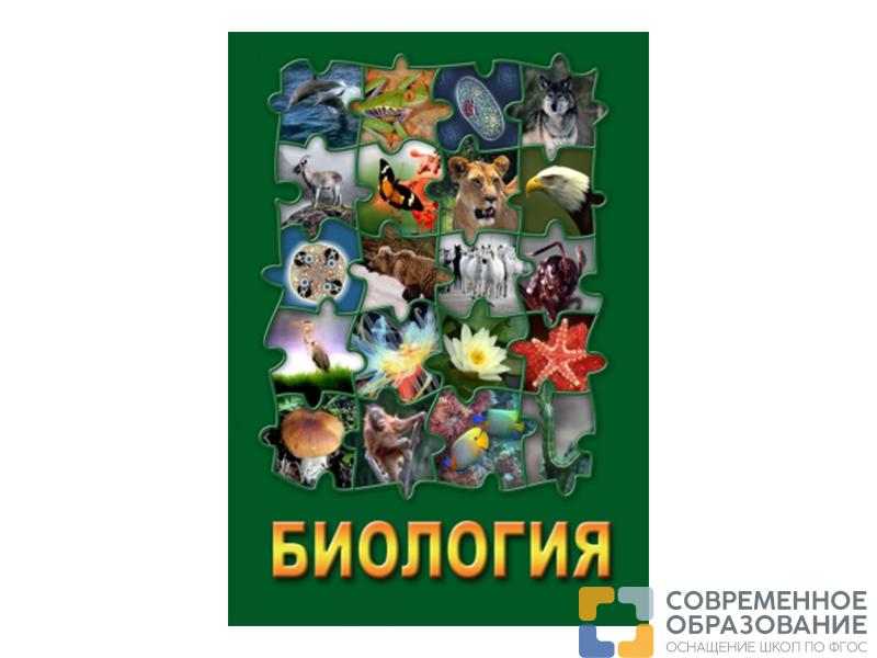 Комплект видеофильмов для кабинета биологии на DVD-Дисках