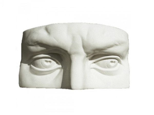 Гипсовая модель Глаза человека