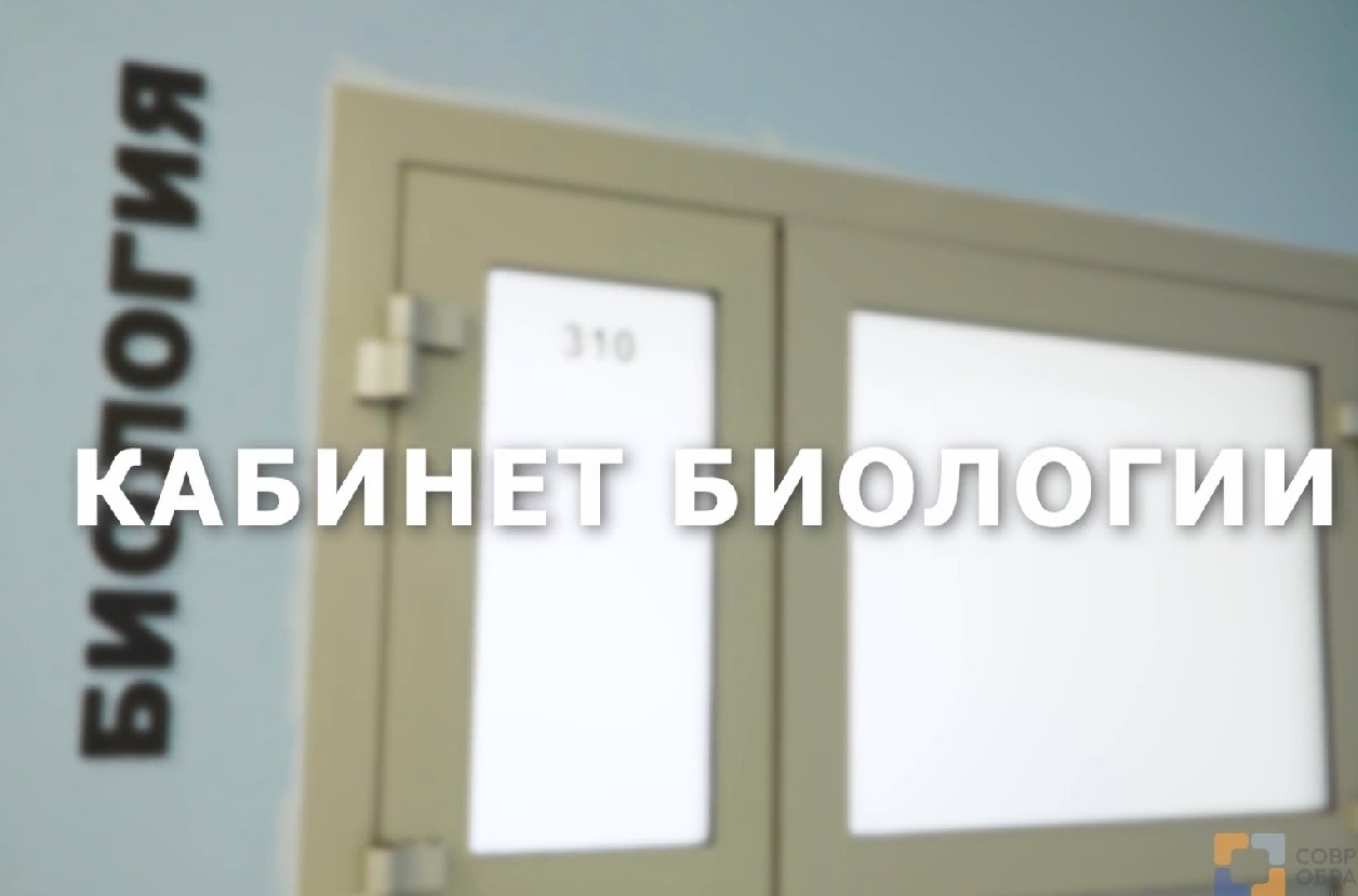 Посмотреть видео